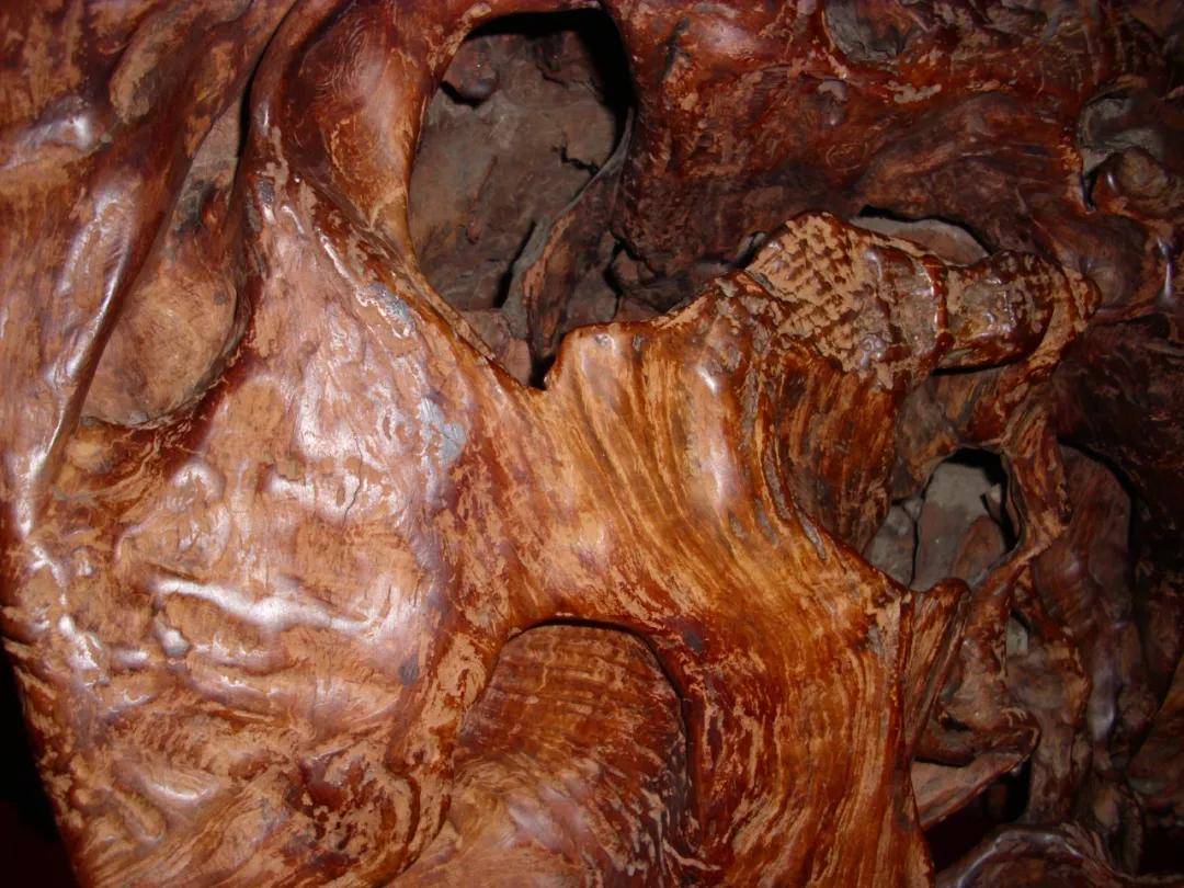 专用木蜡油/核桃油/橄榄油，选对油能让黄花梨越养越润，选错则可能毁掉木材(图1)